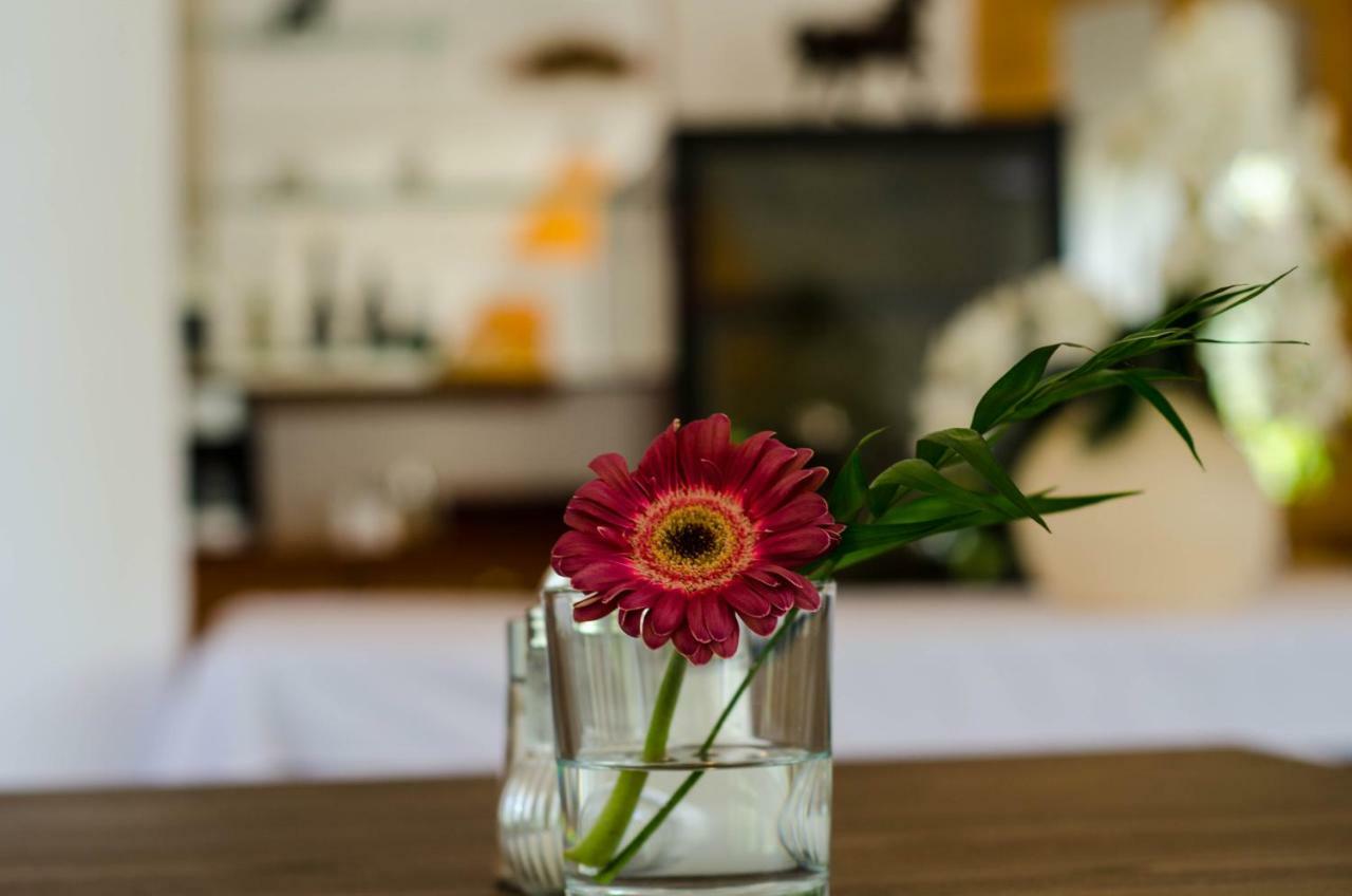 Hotel Wagner Panzio Cserszegtomaj Esterno foto